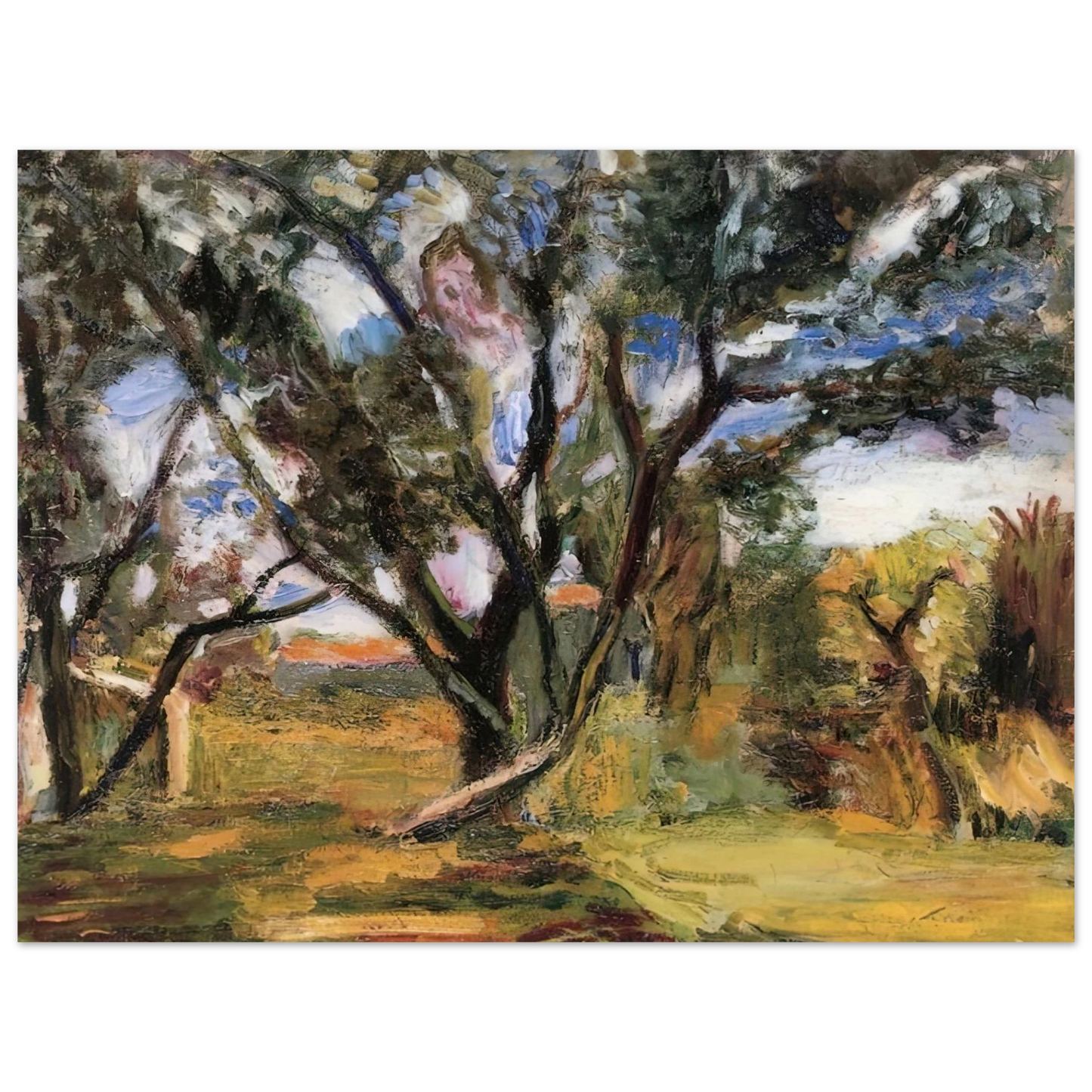 Henri Matisse - THE OLIVE TREE Fine Art Poster - Default Title