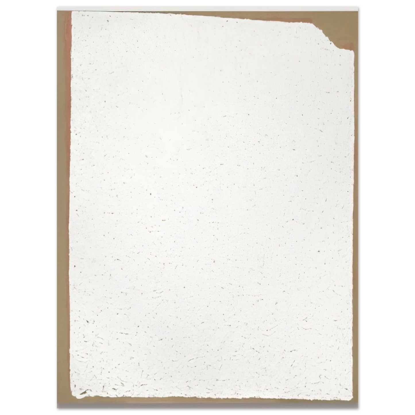 Robert Ryman - Convention - 2002 Fine Art Poster - Default Title