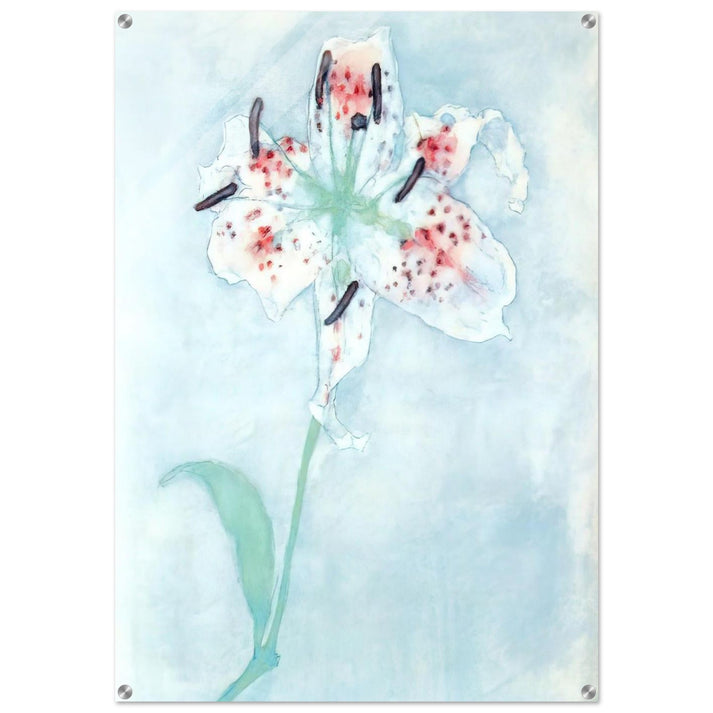 Lily - Piet Mondrian Acrylic Print - 70x100 cm / 28x40″ inches
