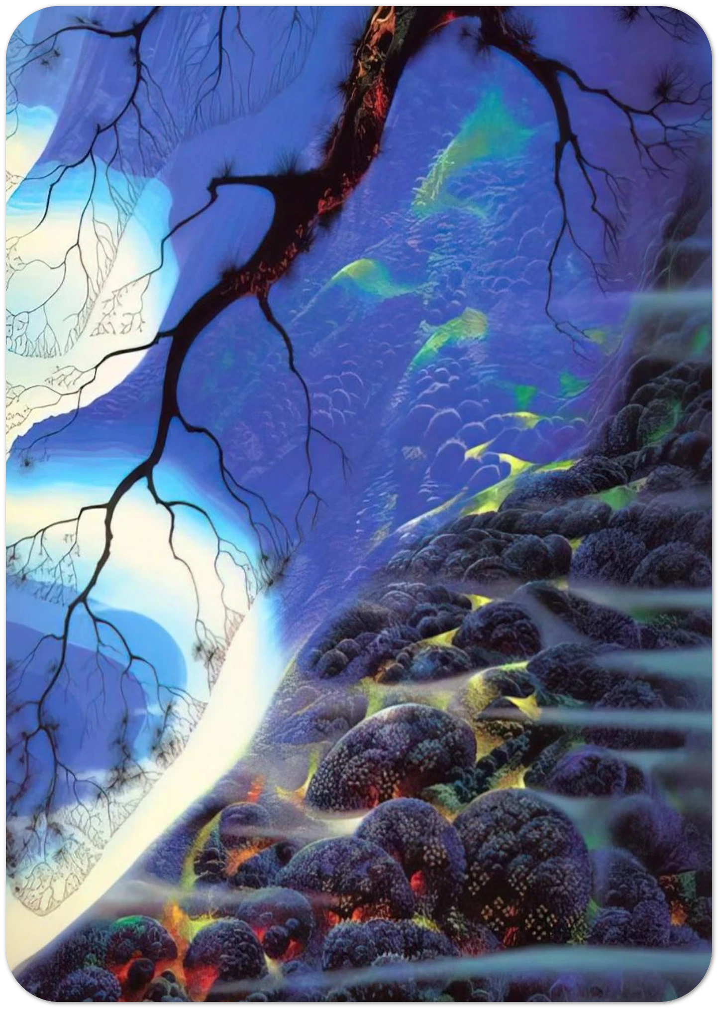 85b94ffc-6761-43c9-a625-061d1d316fed