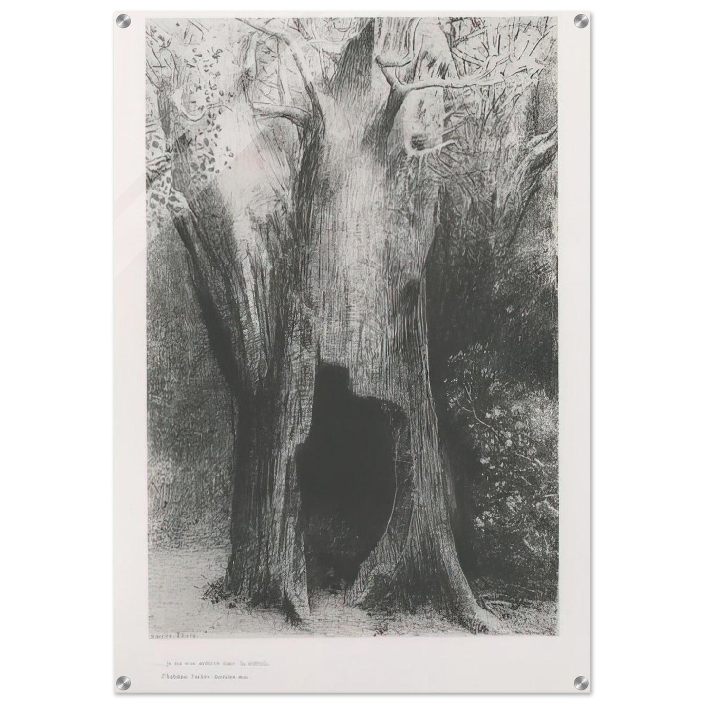 I PLUNGED INTO SOLITUDE I DWELT IN THE TREE BEHIND ME PLATE 9 1896 - Odilon Redon Acrylic Print - 70x100 cm / 28x40″ inches