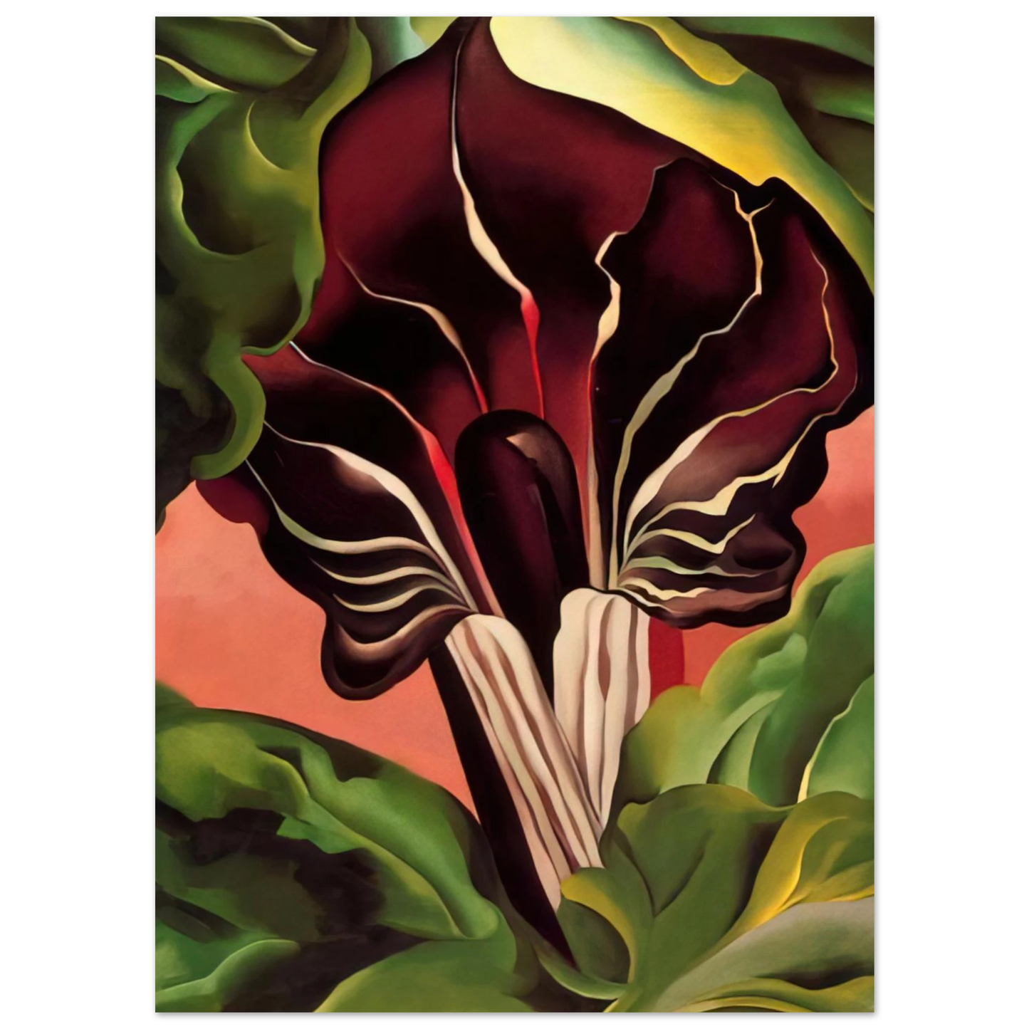 Georgia O'Keeffe - Jack-in-the-Pulpit II Fine Art Poster - 40x60 cm / 16x24 inches