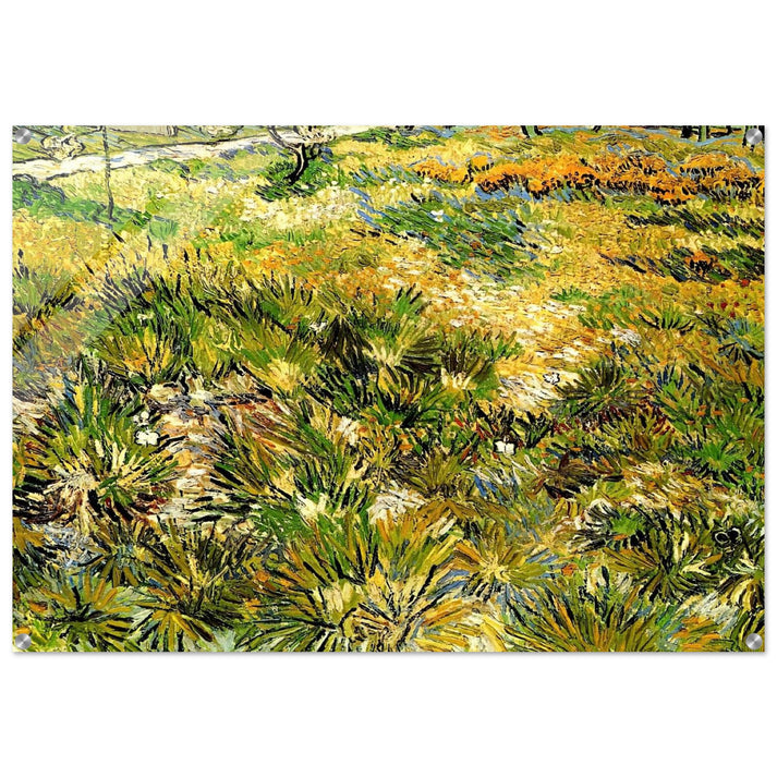 Meadow in the Garden of Saint-Paul Hospital - Vincent van Gogh Acrylic Print - 70x100 cm / 28x40″ inches