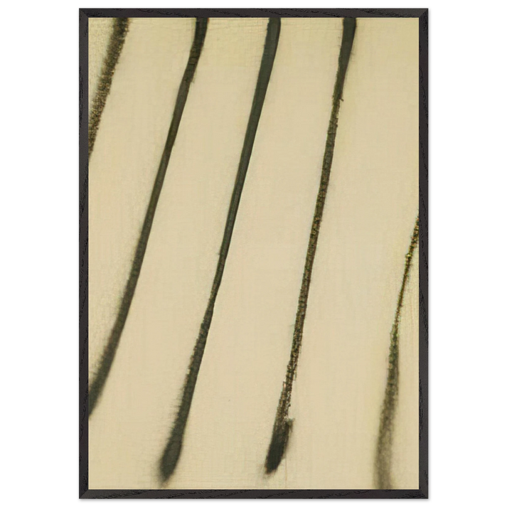 65-s-10 - 1965 - Martin Barre 70x100 cm / 28x40 inches Framed Art Print – Black Wooden Frame