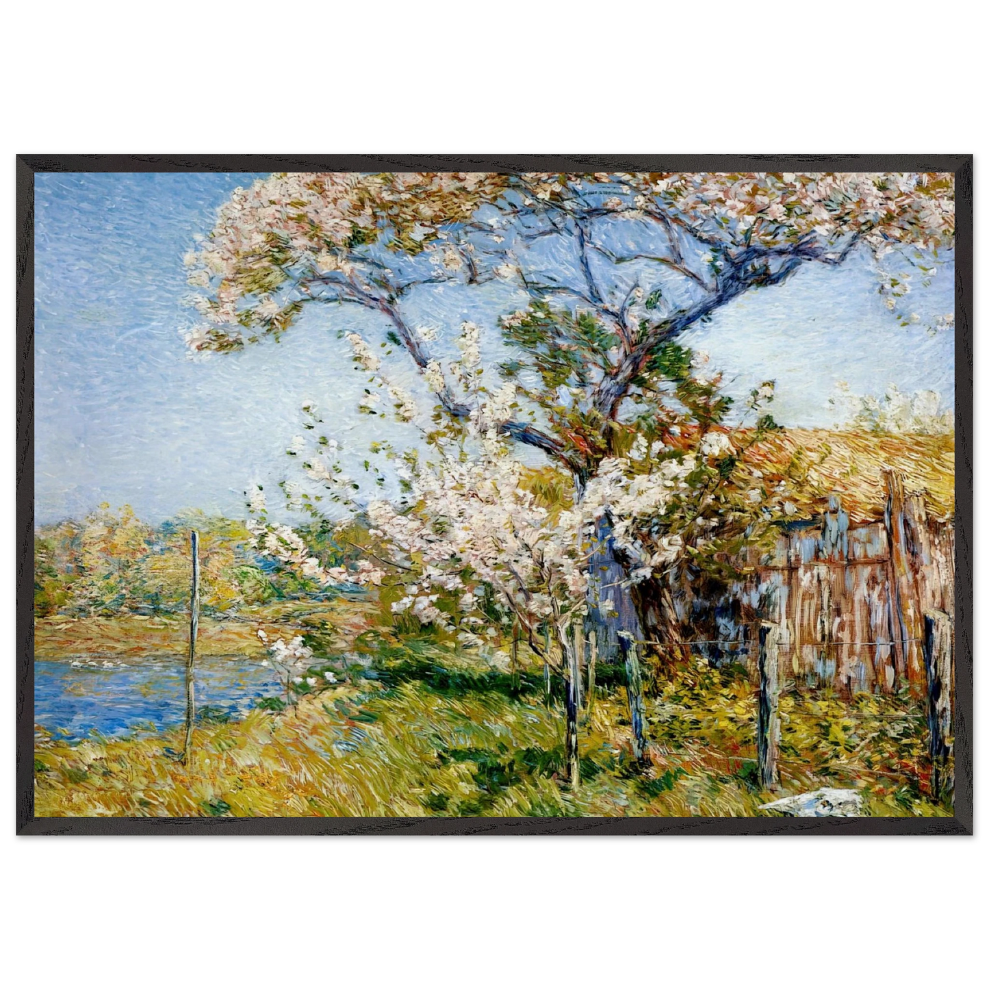 Apple Trees in Bloom Old Lyme - Childe Hassam 70x100 cm / 28x40 inches Framed Art Print – Black Wooden Frame