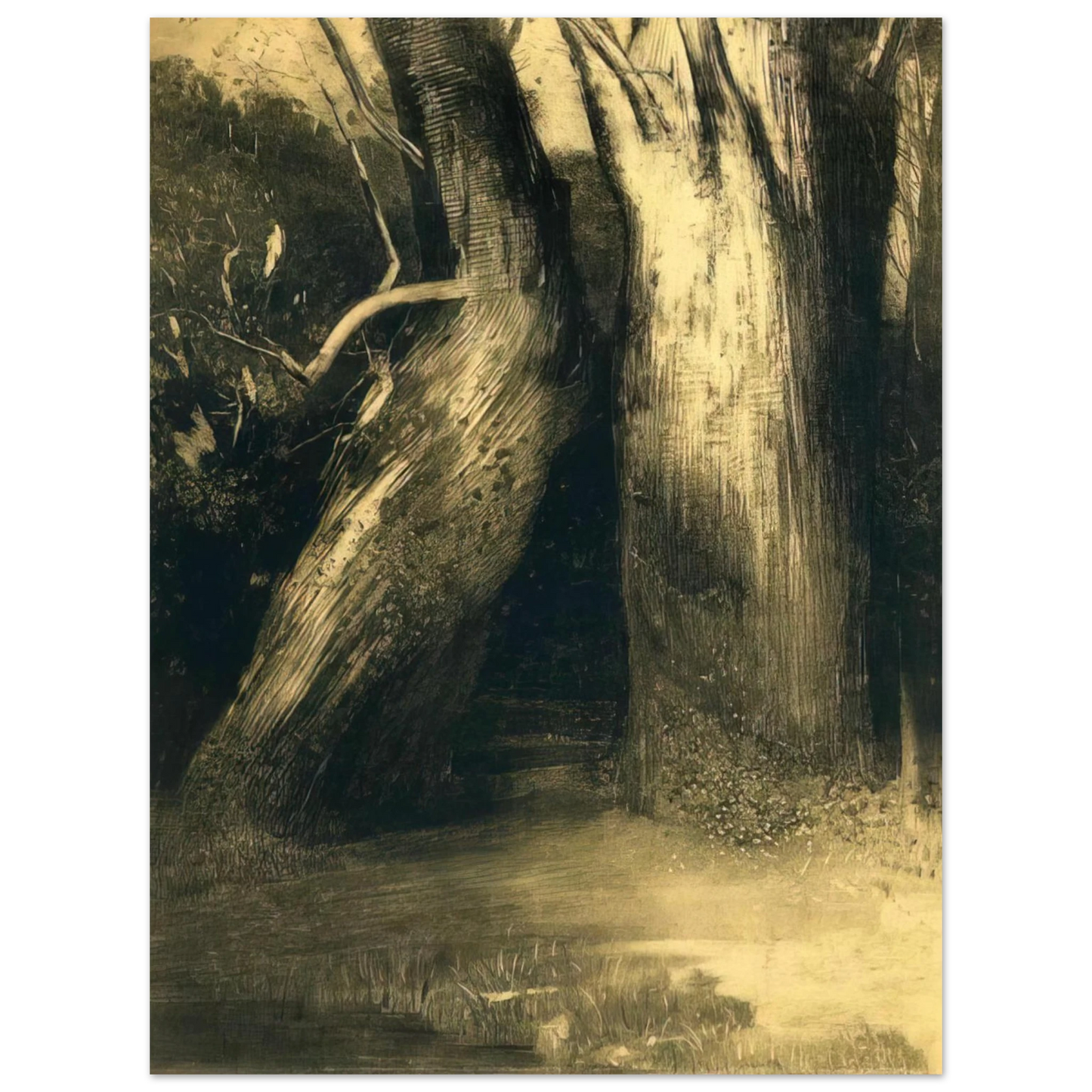 Odilon Redon - TWO TREES 1875 Fine Art Poster - Default Title