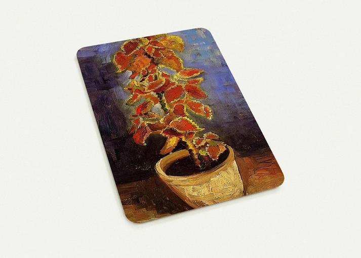 Coleus Plant in a Flowerpot By Vincent van Gogh Pack of 10 Post Cards | Vincent van Gogh Post Cards | A6 (10.5 x 14.8 cm) - 4.1 x 5.8 inches