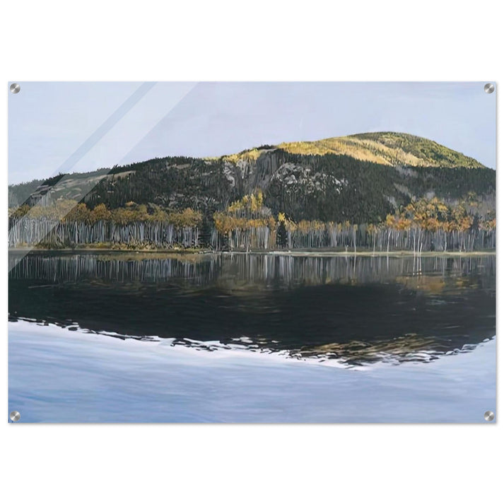 BEAVER DAM POND ACADIA NATIONAL PARK 2009 - Richard Estes Acrylic Print - 70x100 cm / 28x40″ inches