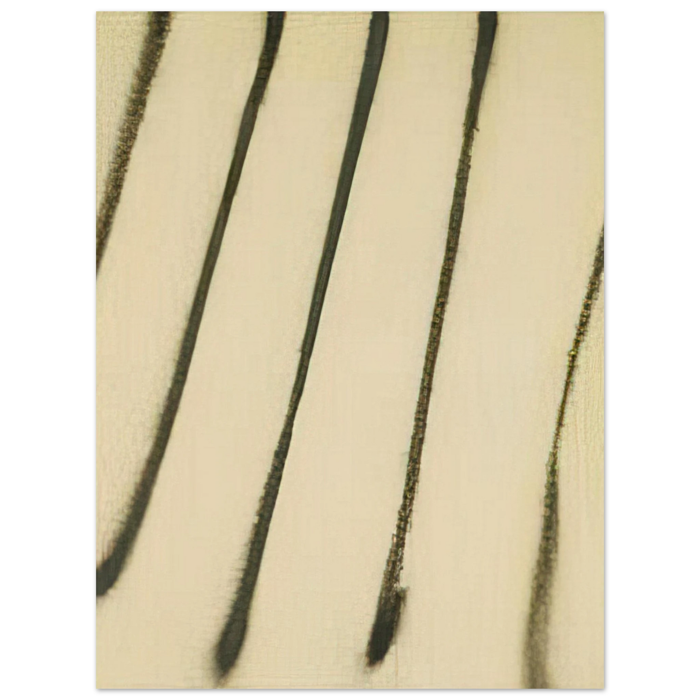 Martin Barre - 65-s-10 - 1965 Fine Art Poster - Default Title