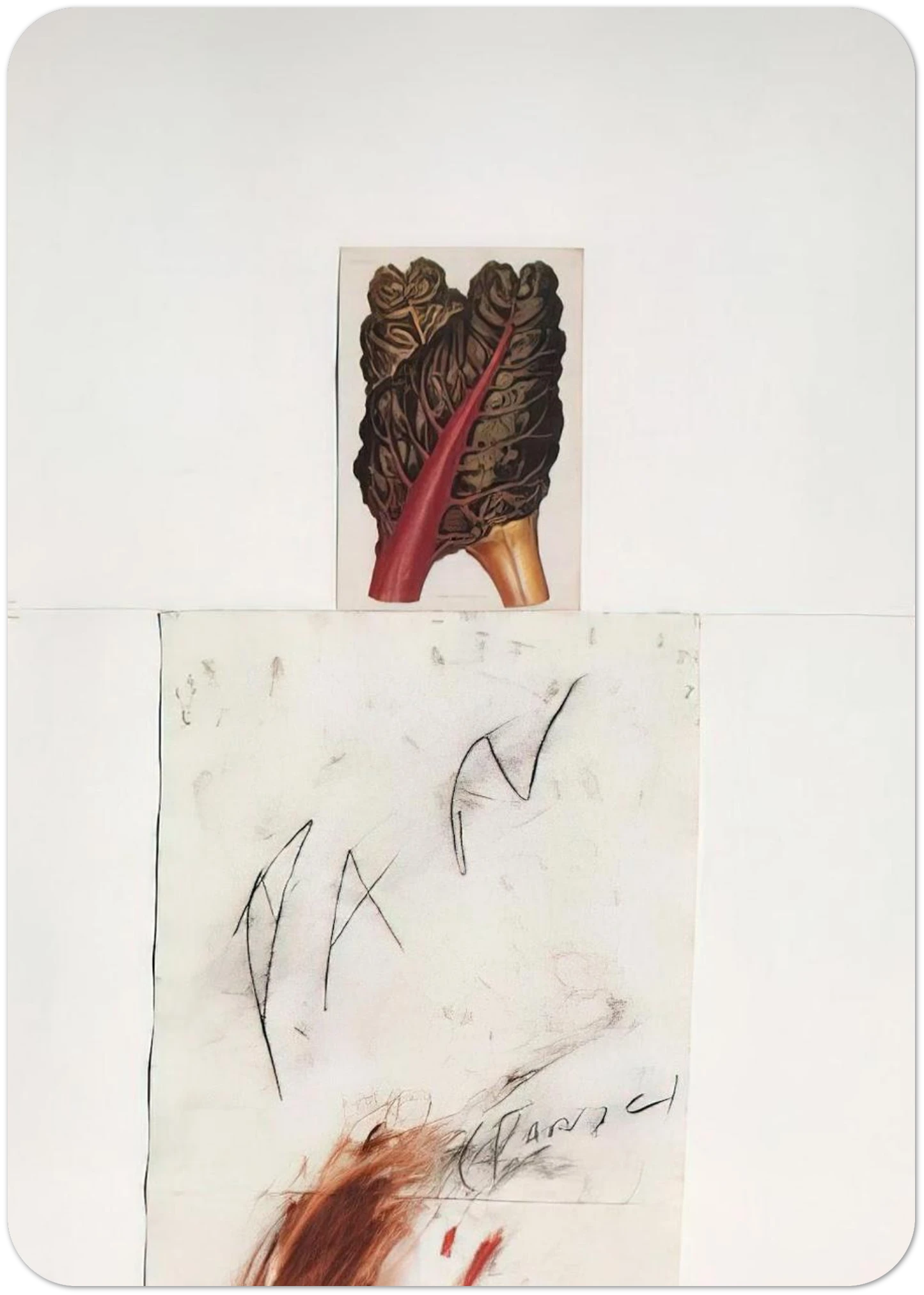 8f1487a7-a862-467a-b509-c469ee86b4ac