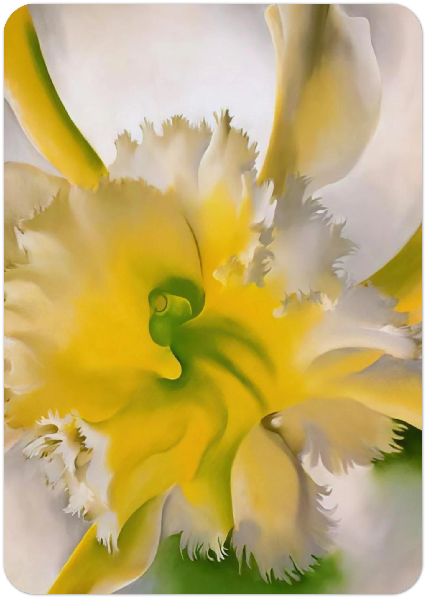 An Orchid By Georgia O'Keeffe Pack of 10 Post Cards | Georgia O'Keeffe Post Cards | A6 (10.5 x 14.8 cm) - 4.1 x 5.8 inches