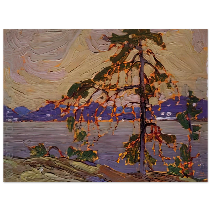 Tom Thomson - SKETCH FOR THE JACK PINE 1916 75x100 cm / 30x40inches Fine Art Poster