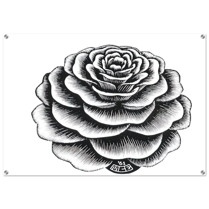 FLOWER 1 - MC Escher Acrylic Print - 70x100 cm / 28x40″ inches | Maurits Cornelis Escher Prints