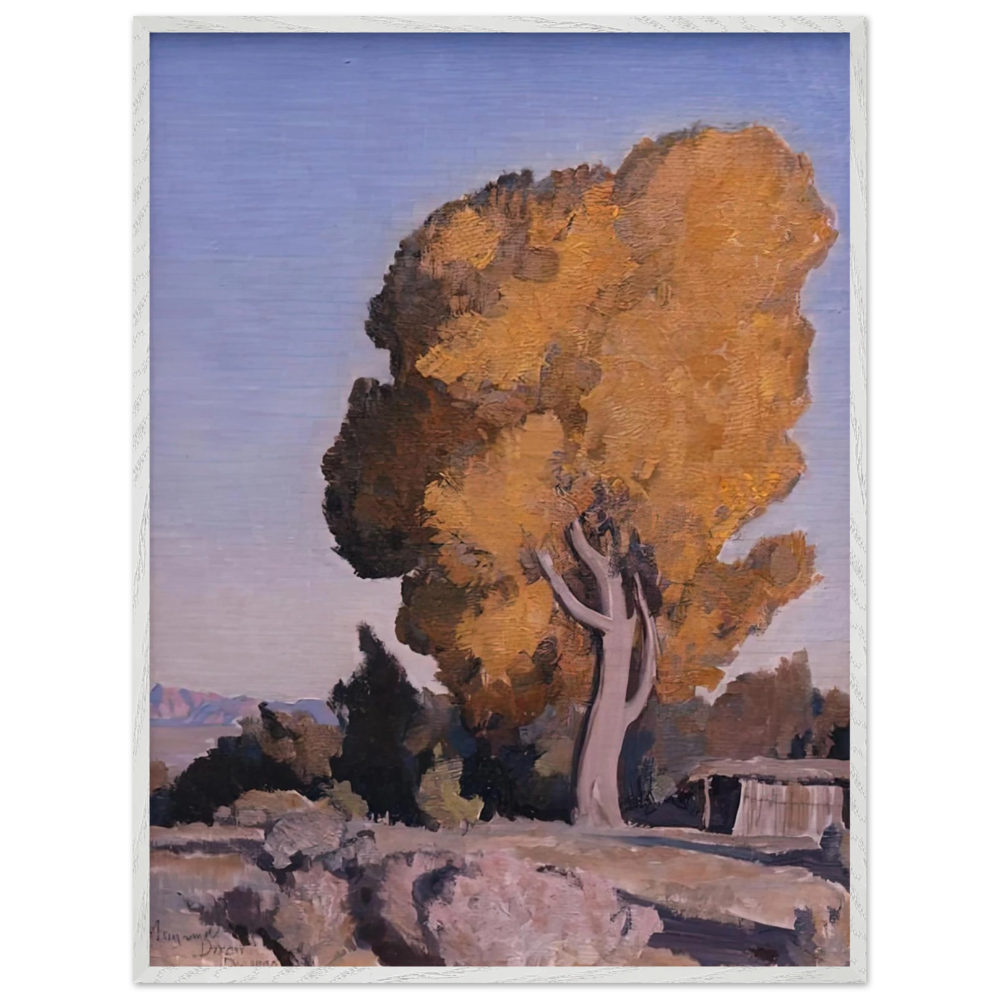 Maynard Dixon - LOW COUNTRY COTTONWOOD 1940 Wall art - 20x25 cm / 8x10 Inches - Fine Art Poster - -