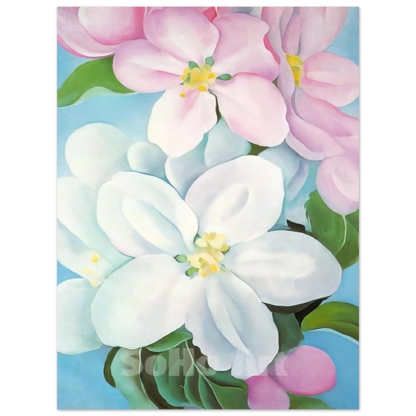 Georgia O'Keeffe - Apple Blossoms Fine Art Poster - 13x18 cm / 5x7 inches