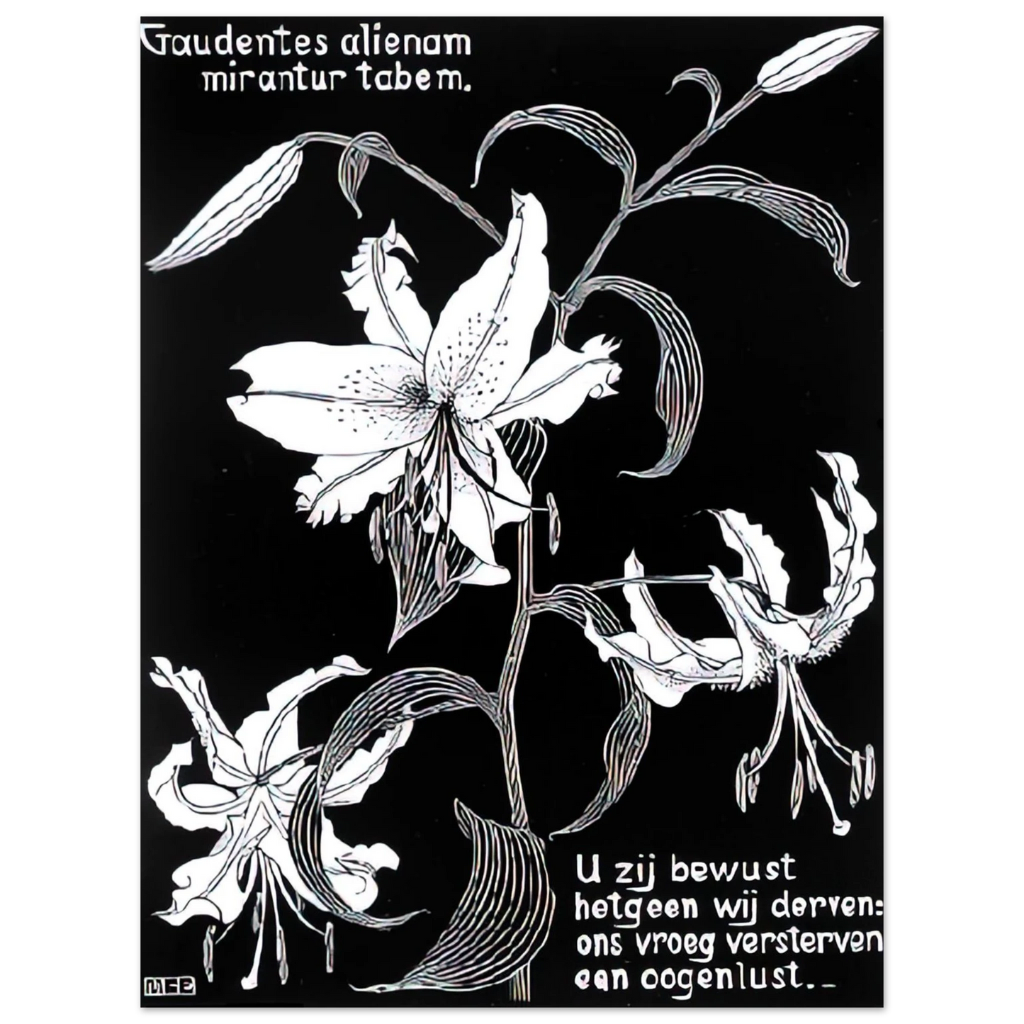 MC Escher - FLOWERS Wall Art - 21x29.7 cm / 8x12" - Fine Art Poster - -