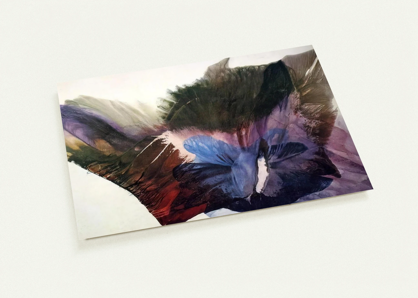 95685cb0-a0ce-4d77-b892-9f07ef89f6e1