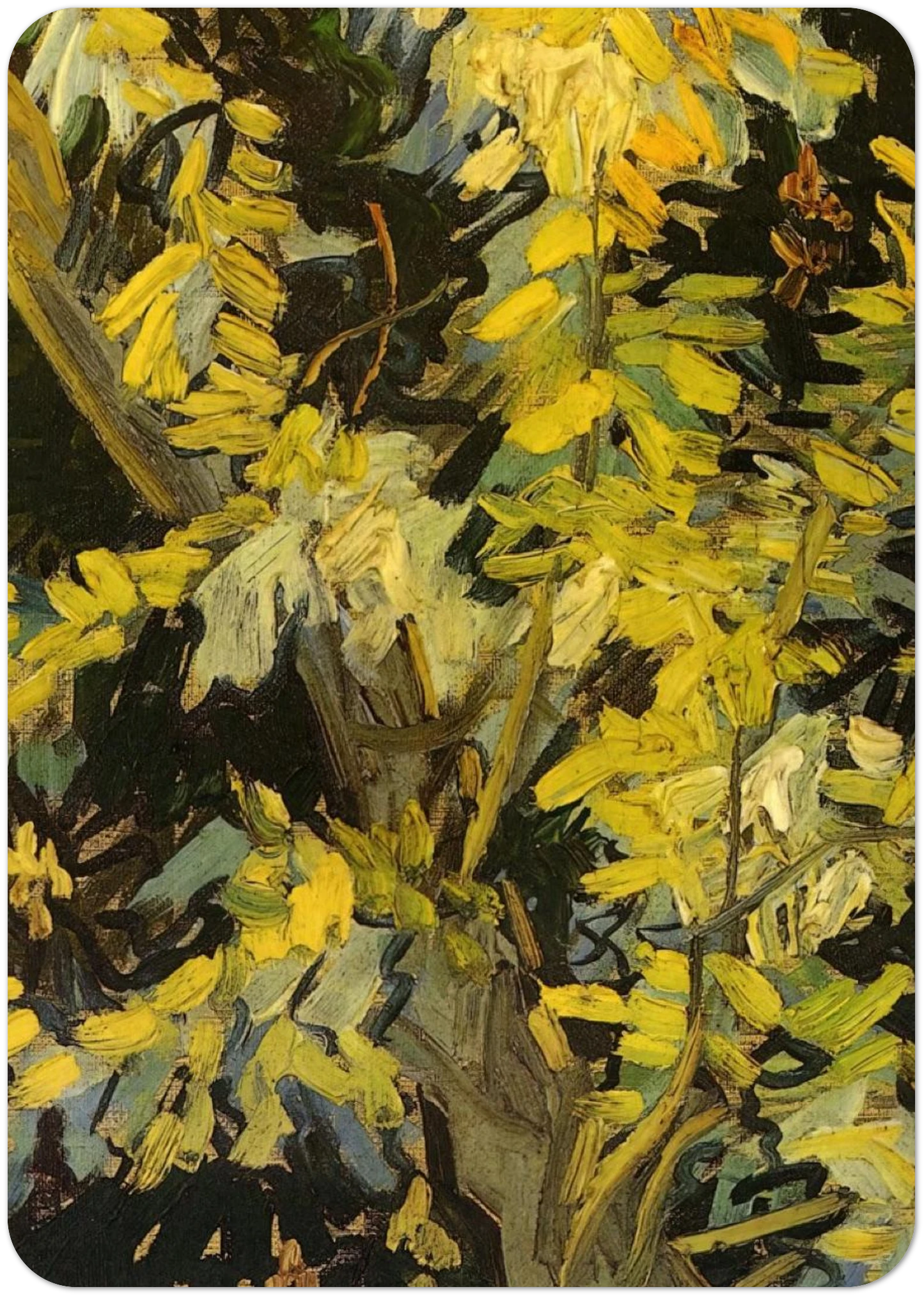 Blossoming Acacia Branches By Vincent van Gogh Pack of 10 Post Cards | Vincent van Gogh Post Cards | A6 (10.5 x 14.8 cm) - 4.1 x 5.8 inches