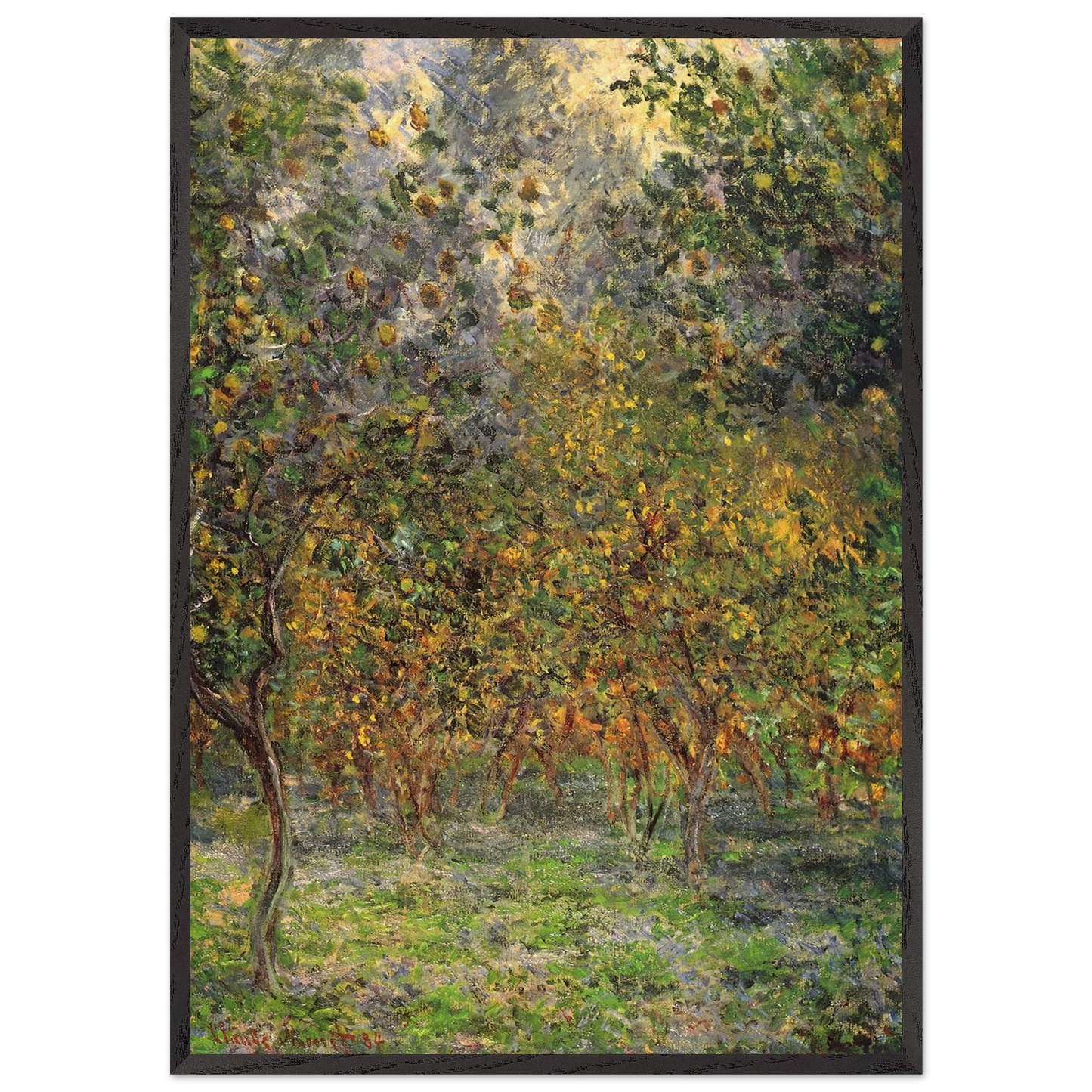 Under the Lemon Trees - claude monet Framed Art Print – Black Wooden Frame - Default Title - -Framed Art Print