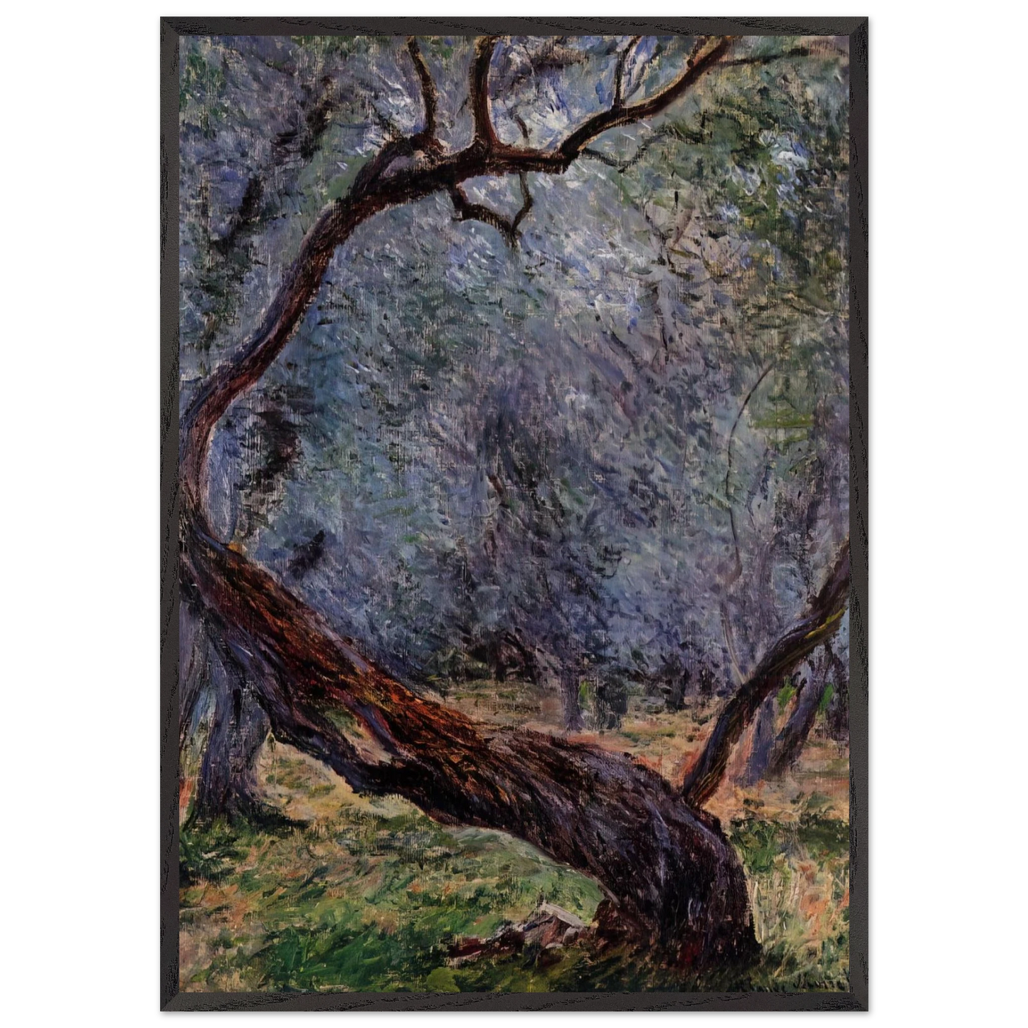 Olive Trees Study - claude monet Framed Art Print – Black Wooden Frame - Default Title - -Framed Art Print