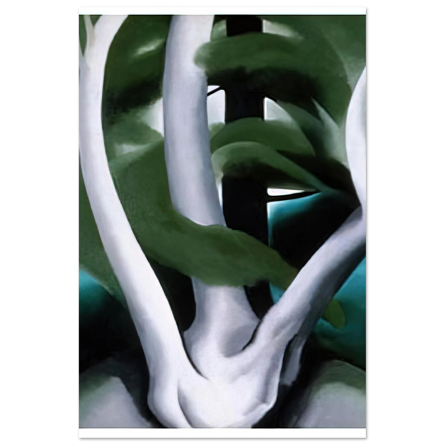 Georgia O'Keeffe - Birch and Pine Tree No. 1 Fine Art Poster - 40x60 cm / 16x24 inches