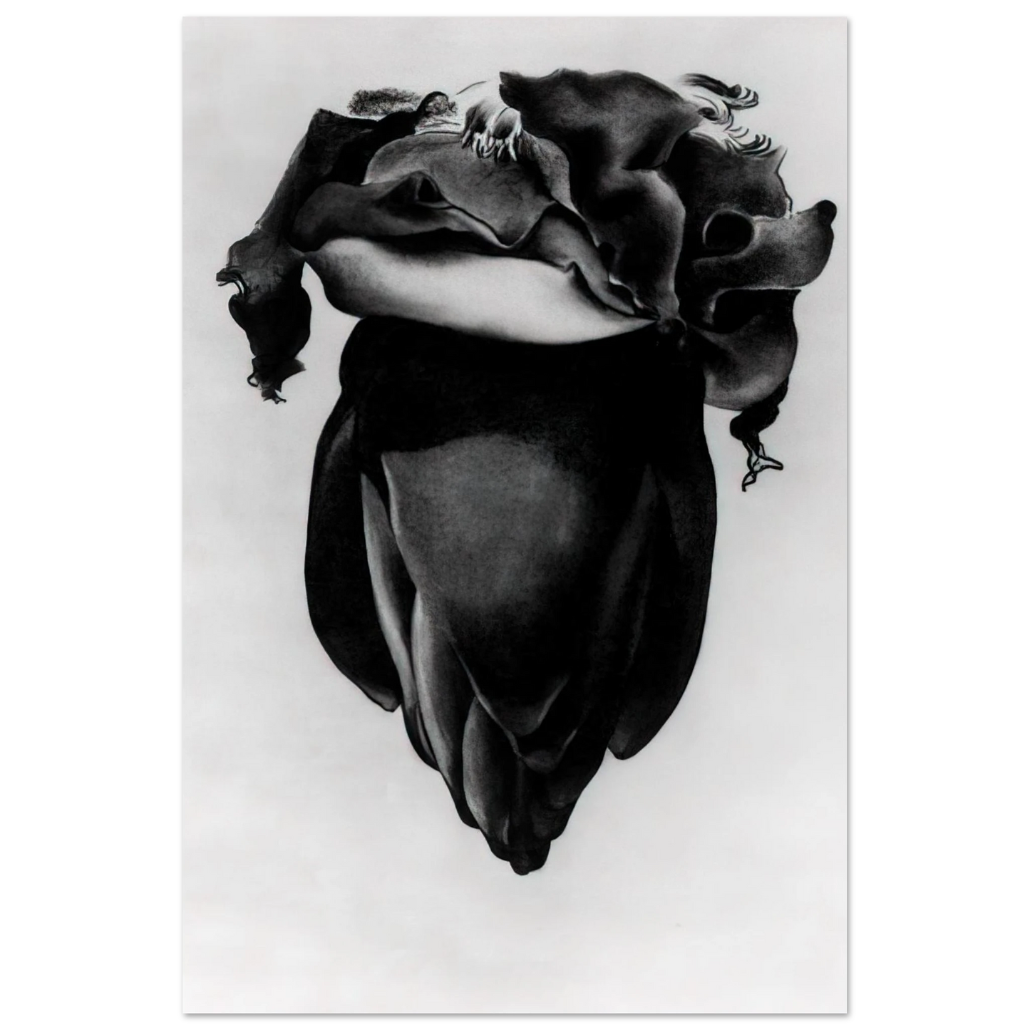 Georgia O'Keeffe - Banana Flower Fine Art Poster - 75x100 cm / 30x40 inches