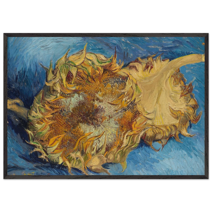 Still Life with Two Sunflowers - Vincent van Gogh 70x100 cm / 28x40 inches Framed Art Print – Black Wooden Frame