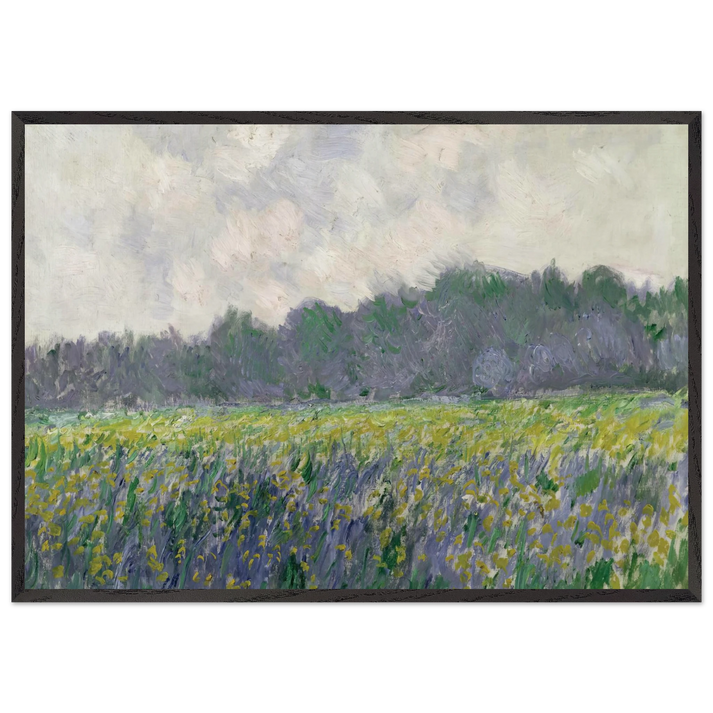Field of Yellow Irises at Giverny - claude monet 70x100 cm / 28x40 inches Framed Art Print – Black Wooden Frame