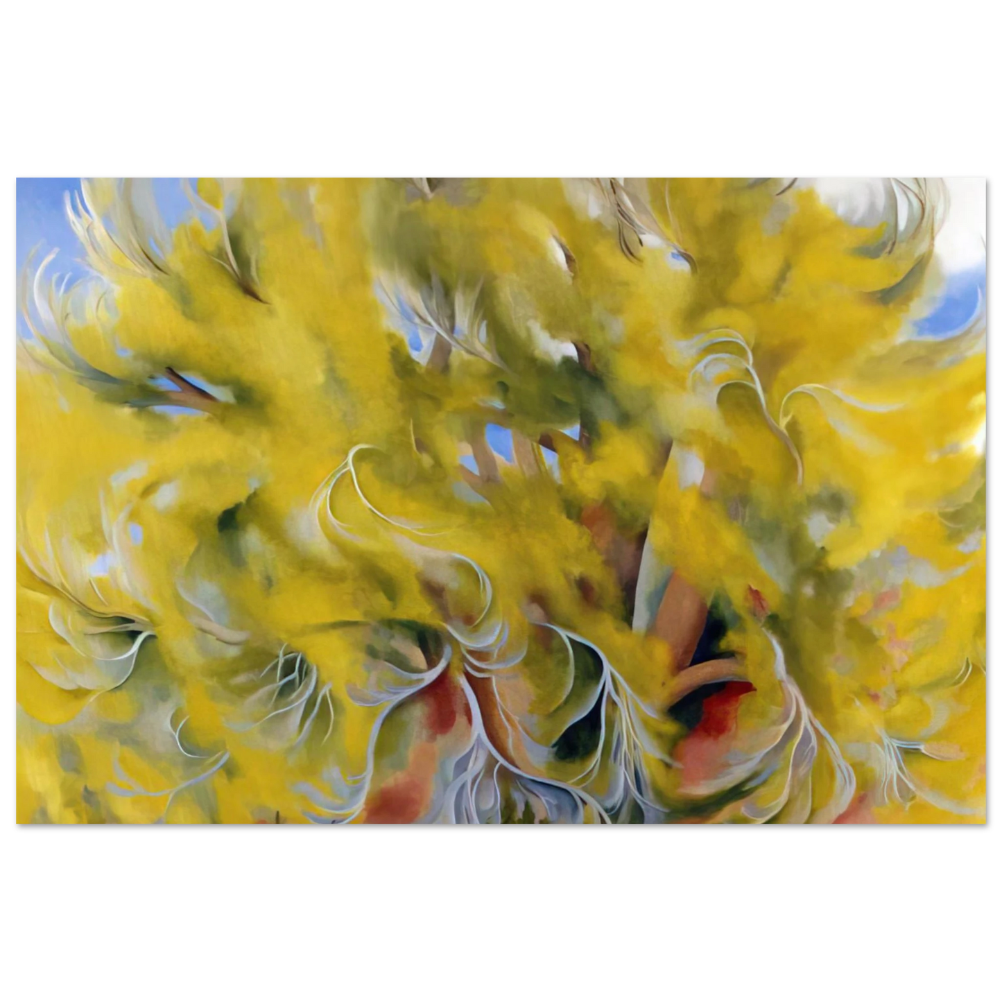 Georgia O'Keeffe - Cottonwood Tree in Spring Fine Art Poster - 75x100 cm / 30x40 inches