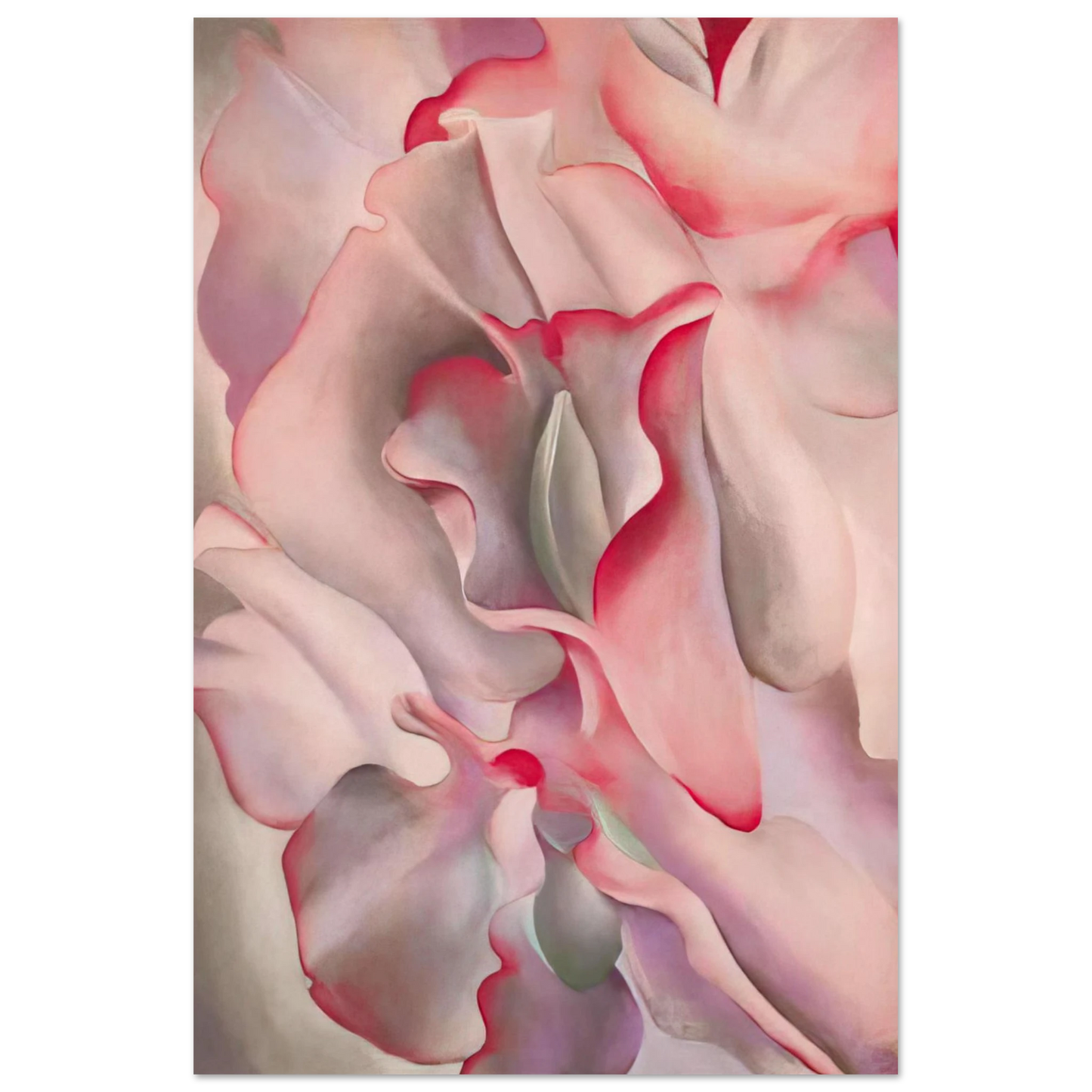 Georgia O'Keeffe - Pink Sweet Peas 2 Fine Art Poster - 75x100 cm / 30x40 inches
