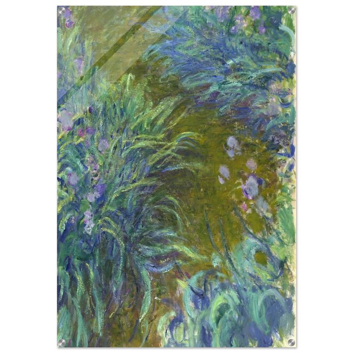 Path through the Irises 02 - claude monet Acrylic Print - 70x100 cm / 28x40″ inches