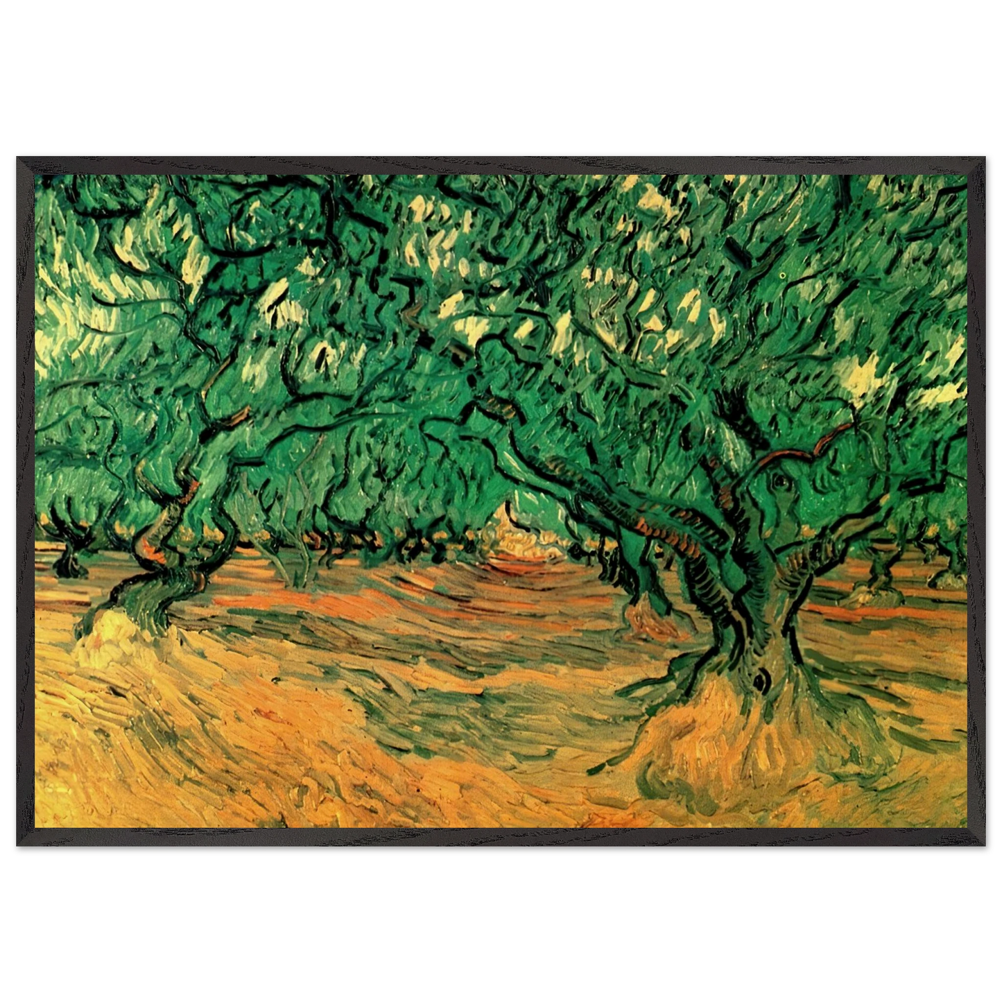 Olive Trees - Vincent van Gogh Framed Art Print – Black Wooden Frame - Default Title - -Framed Art Print