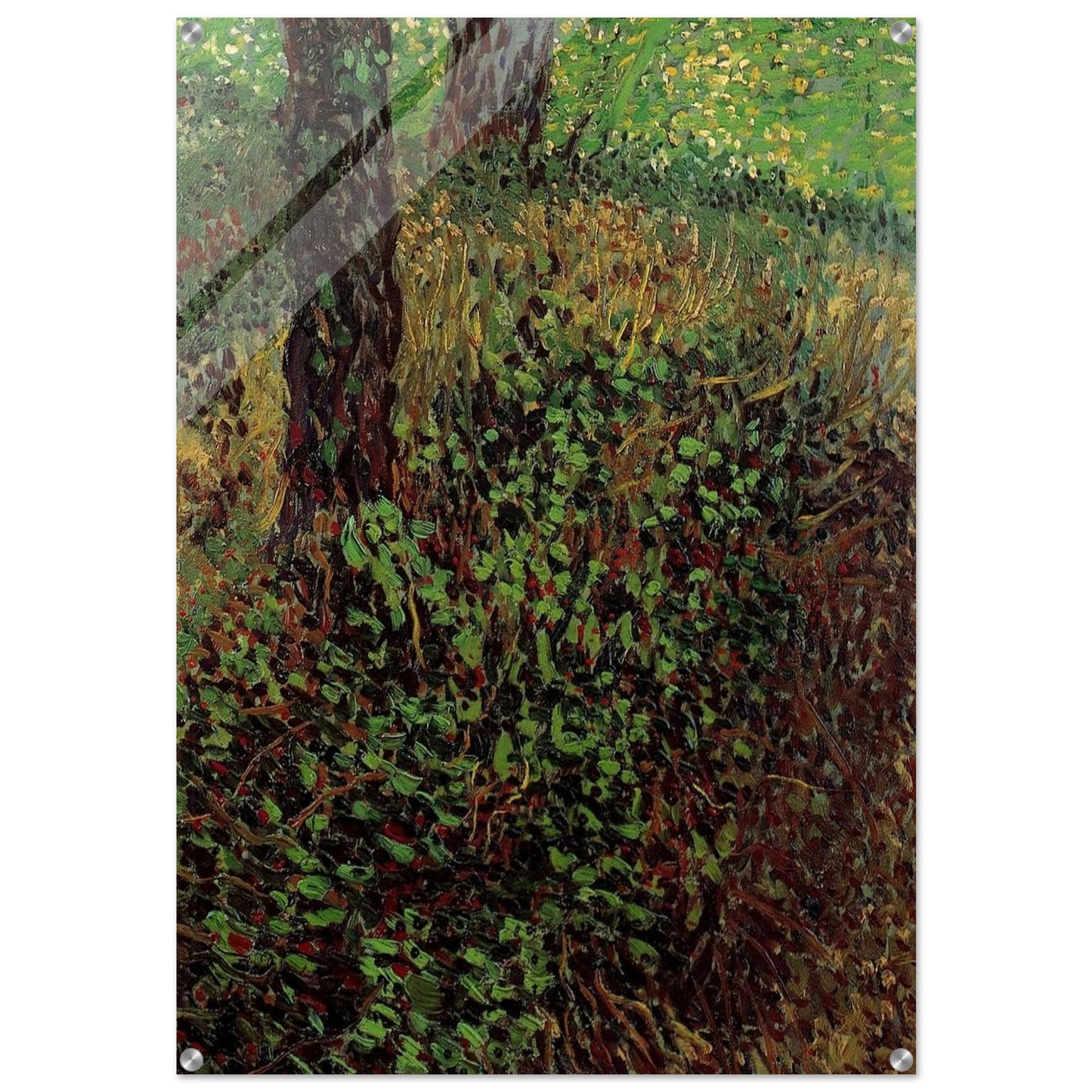 Undergrowth - Vincent van Gogh Acrylic Print - 70x100 cm / 28x40″ inches | Vincent van Gogh Wall Art | Vincent van Gogh Prints