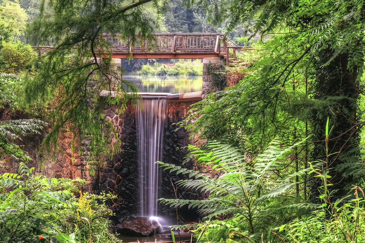 Biltmore Waterfall Art Print | Museum-Quality Fine Art Print | RedKalion