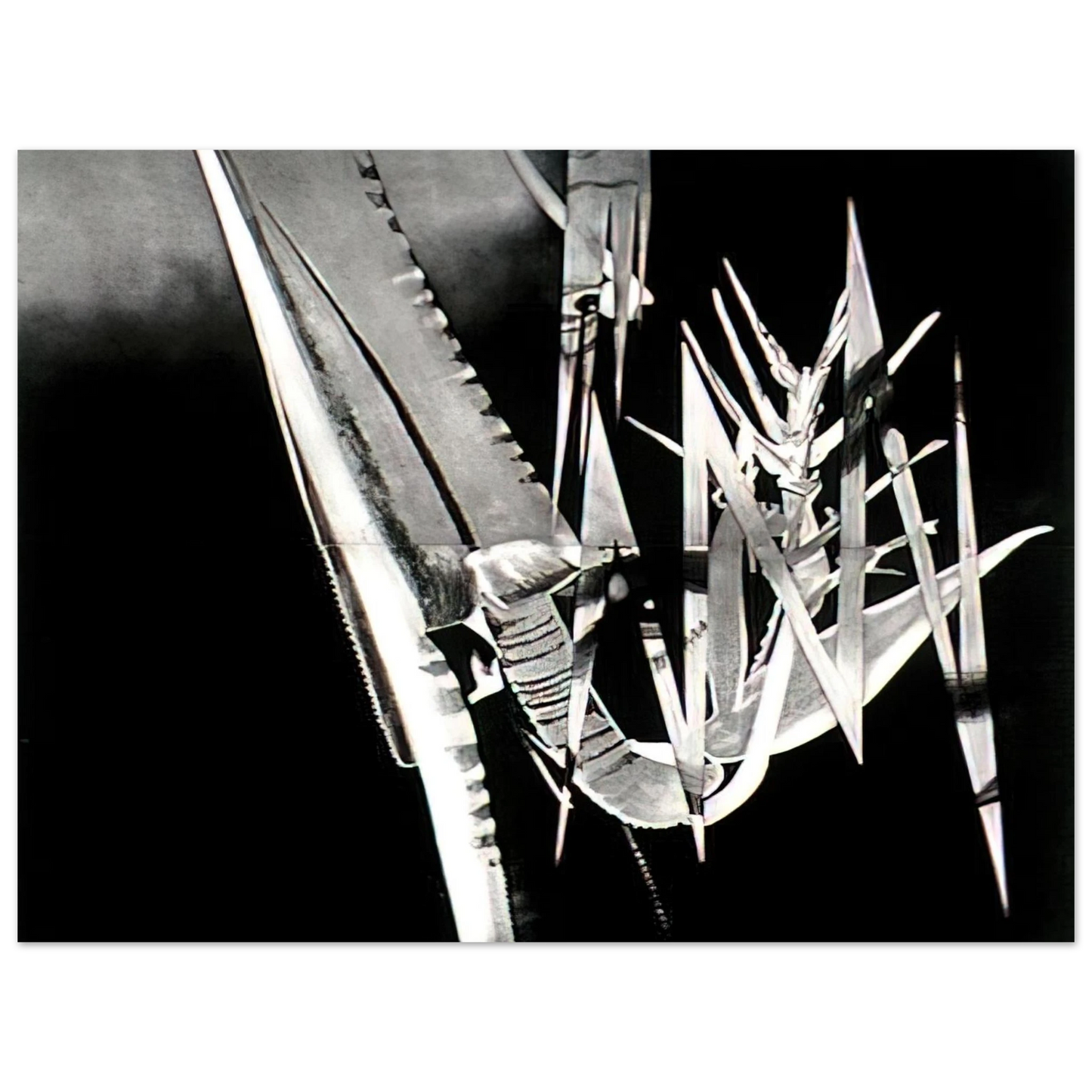 James Rosenquist - The Prickly Dark Fine Art Poster - Default Title