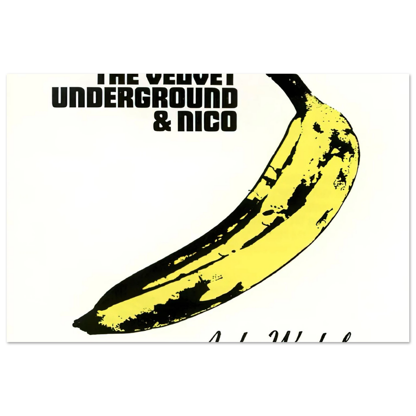 Andy Warhol - Velvet Underground & Nico Fine Art Poster - 75x100 cm / 30x40 inches