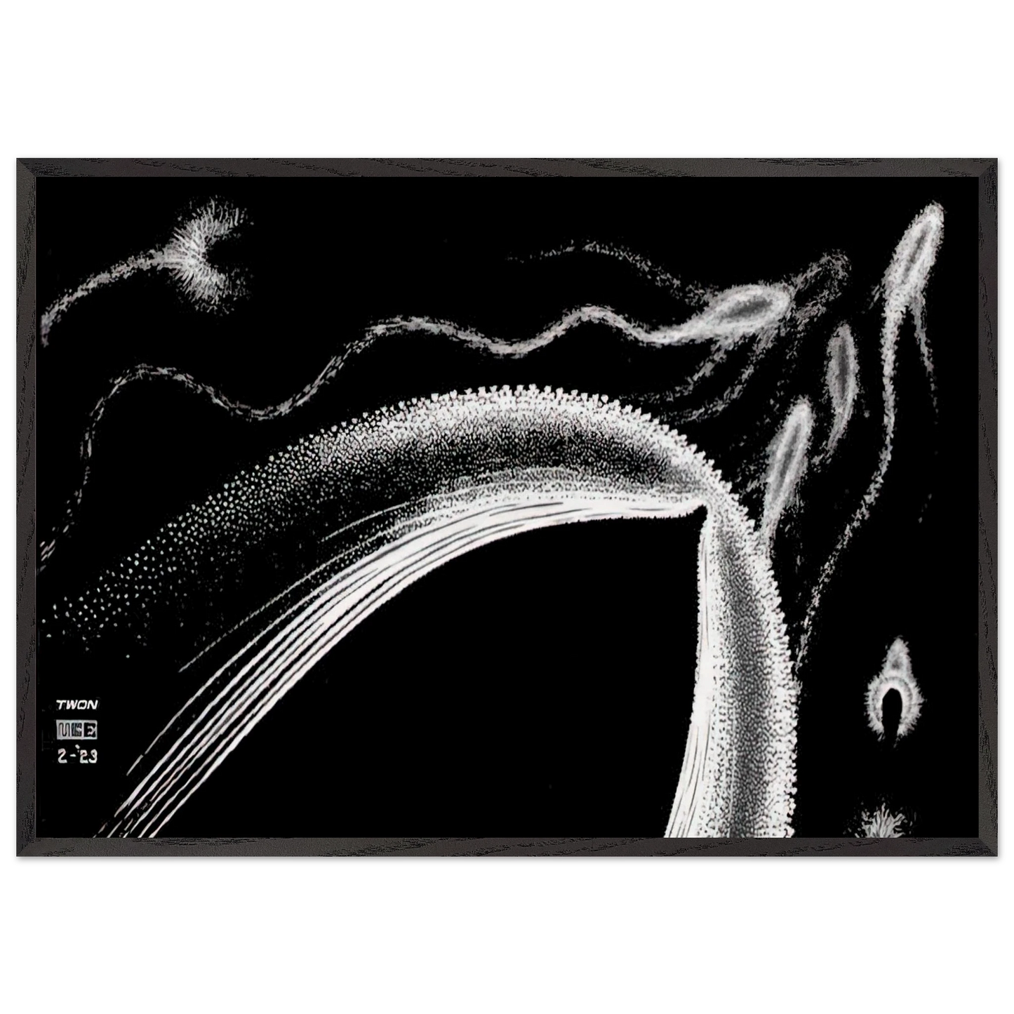 DOLPHINS - MC Escher 70x100 cm / 28x40 inches Framed Art Print – Black Wooden Frame | Maurits Cornelis Escher Prints