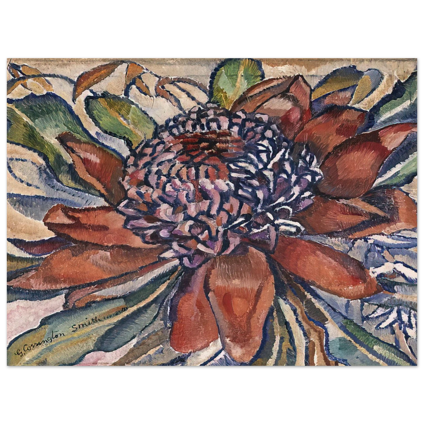 Grace Cossington Smith - Waratah - 1928 Fine Art Poster - Default Title