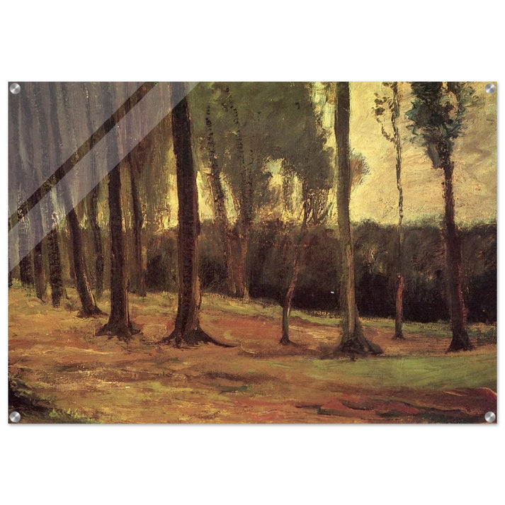 Edge of a Wood - Vincent van Gogh Acrylic Print - 70x100 cm / 28x40″ inches