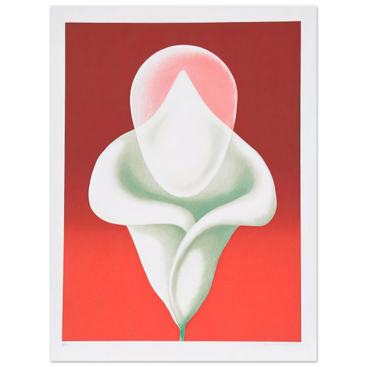Clarence Holbrook Carter - Abstract Tulip - 1979 75x100 cm / 30x40inches Fine Art Poster