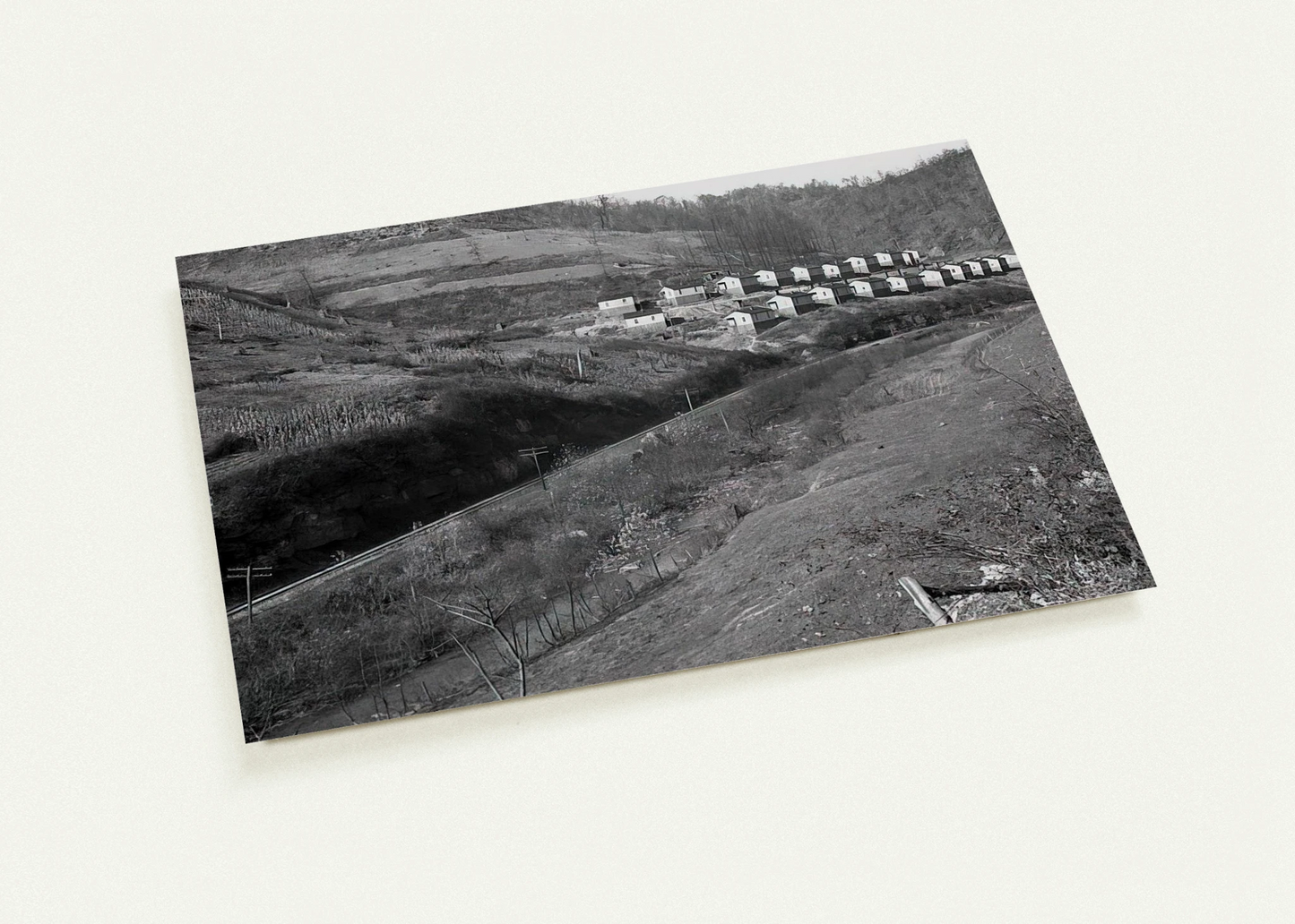 aa3a7a54-db52-4abe-9704-c8b4097d466b