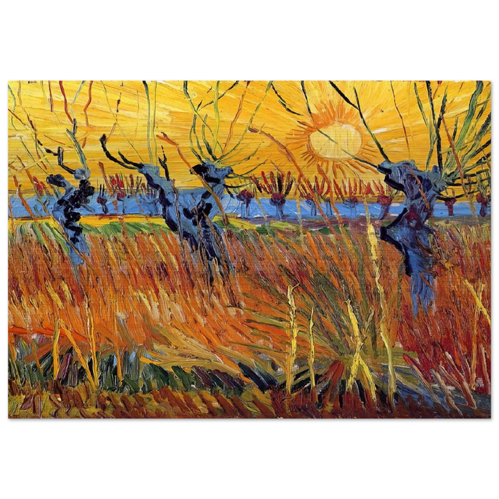 Pollard Willows and Setting Sun - Vincent van Gogh Brushed Aluminum Print - 70x100 cm / 28x40 inches | Vincent van Gogh Aluminum Print | Vincent van Gogh Prints