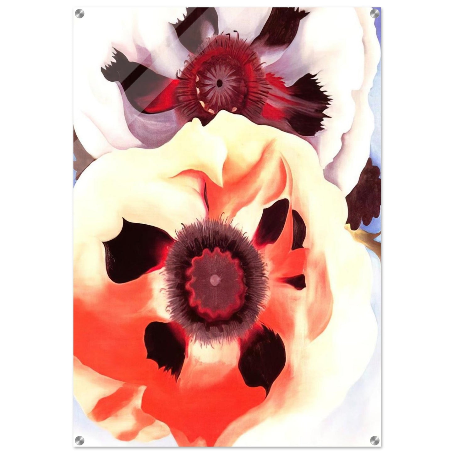 Poppies - Georgia O'Keeffe Acrylic Print - 70x100 cm / 28x40″ inches