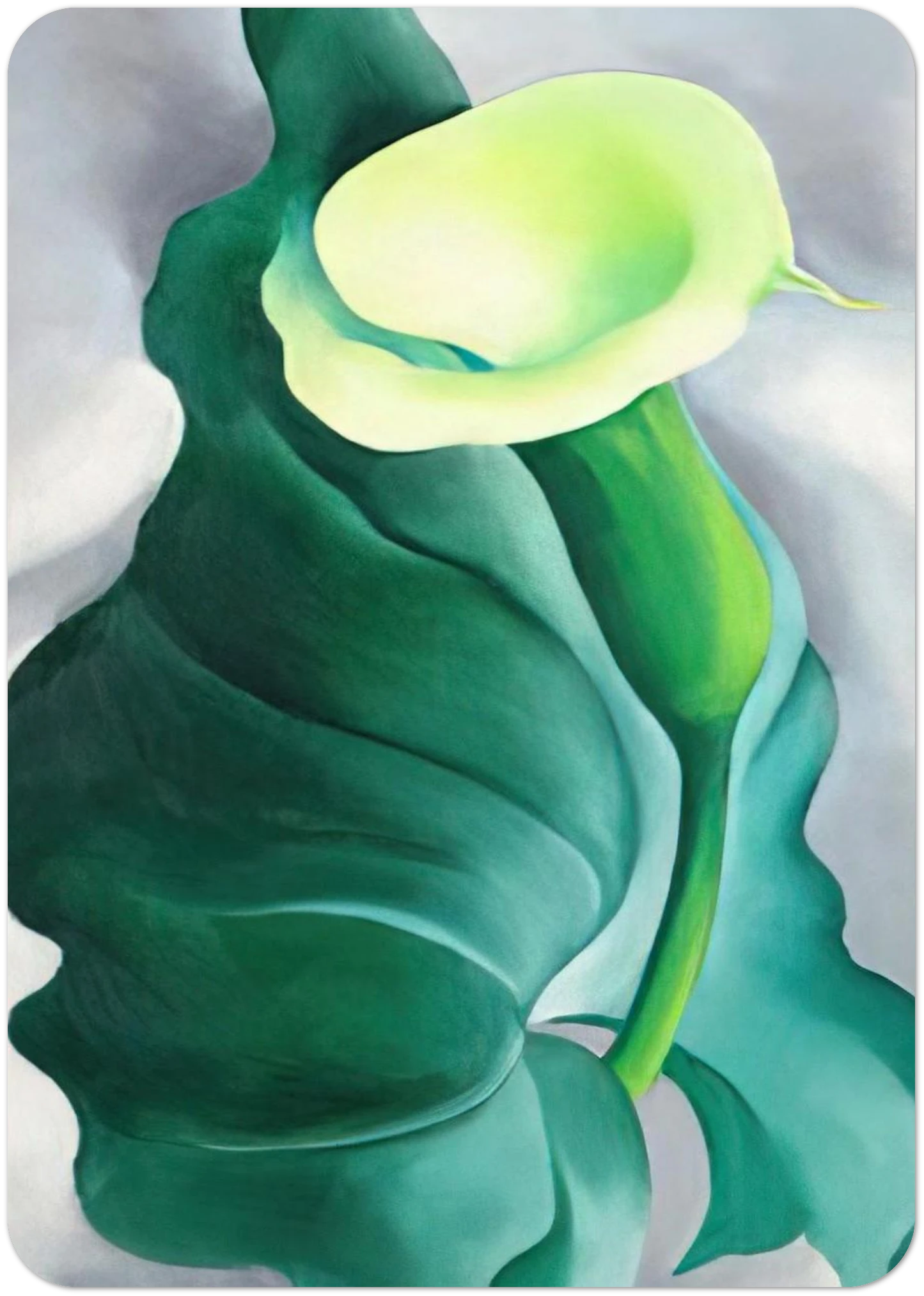 Calla Lily Lily-Yellow No. 2 By Georgia O'Keeffe Pack of 10 Post Cards | Georgia O'Keeffe Post Cards | A6 (10.5 x 14.8 cm) - 4.1 x 5.8 inches