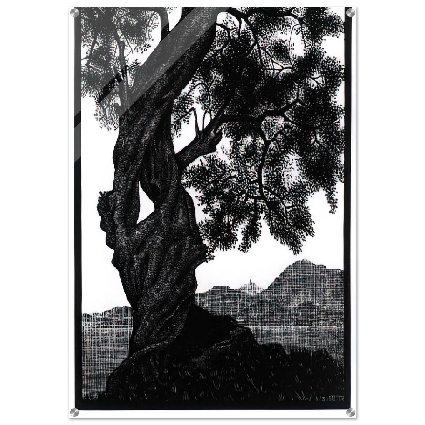 OLD OLIVE TREE CORSICA - MC Escher Acrylic Print - 70x100 cm / 28x40″ inches | Maurits Cornelis Escher Prints