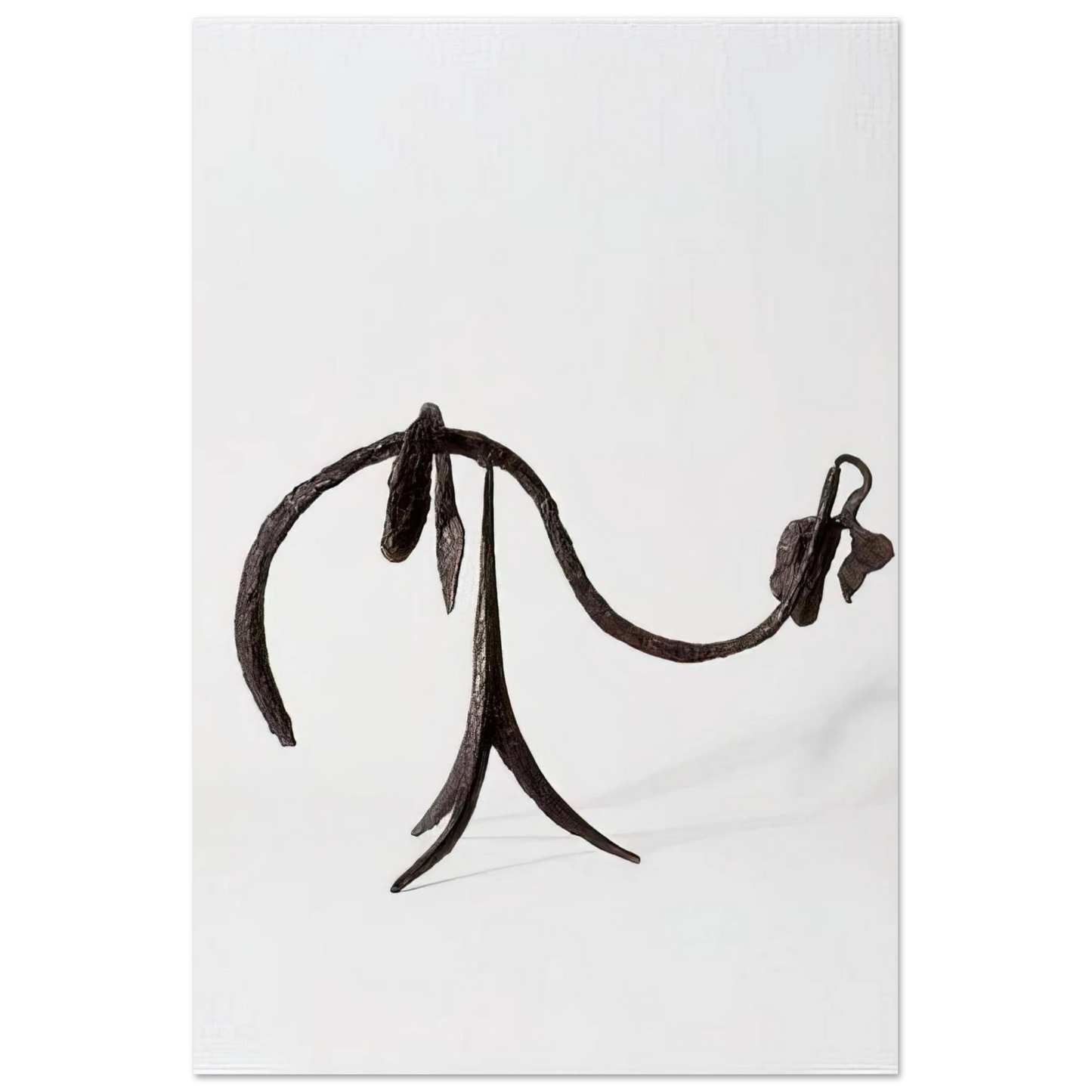 Alexander Calder - THE VINE 1944 Fine Art Poster - 75x100 cm / 30x40 inches