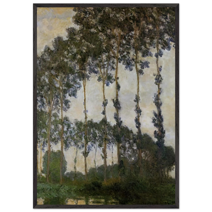 Poplars at Giverny - claude monet 70x100 cm / 28x40 inches Framed Art Print – Black Wooden Frame