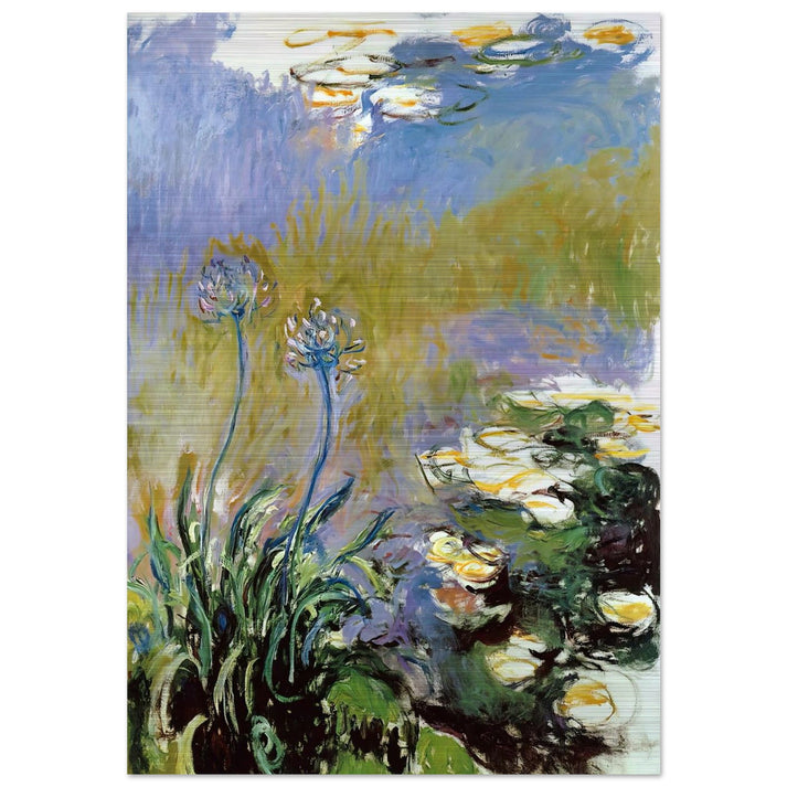 Agapanthus - claude monet Brushed Aluminum Print - 70x100 cm / 28x40 inches | claude monet Aluminum Print | claude monet Prints
