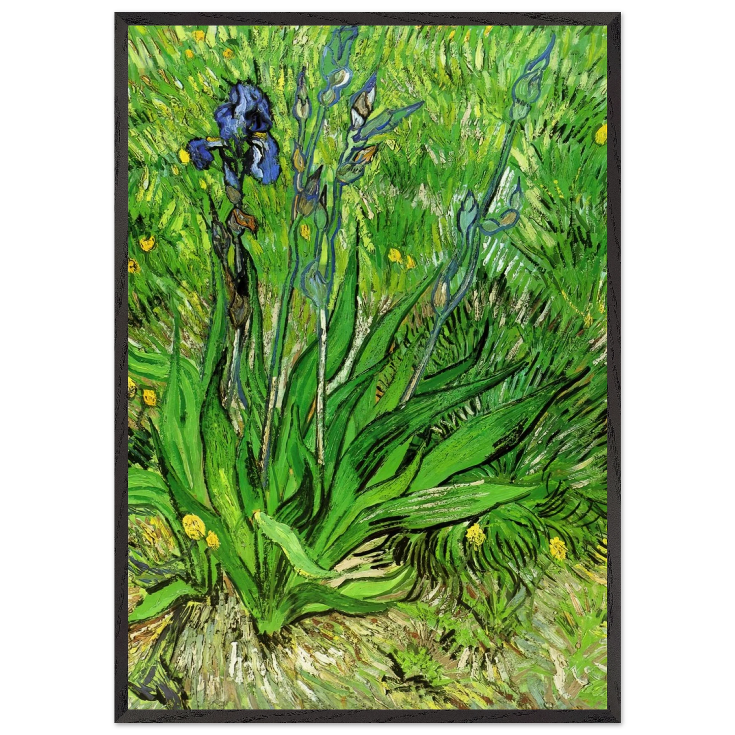 The Iris - Vincent van Gogh Framed Art Print – Black Wooden Frame - Default Title - -Framed Art Print