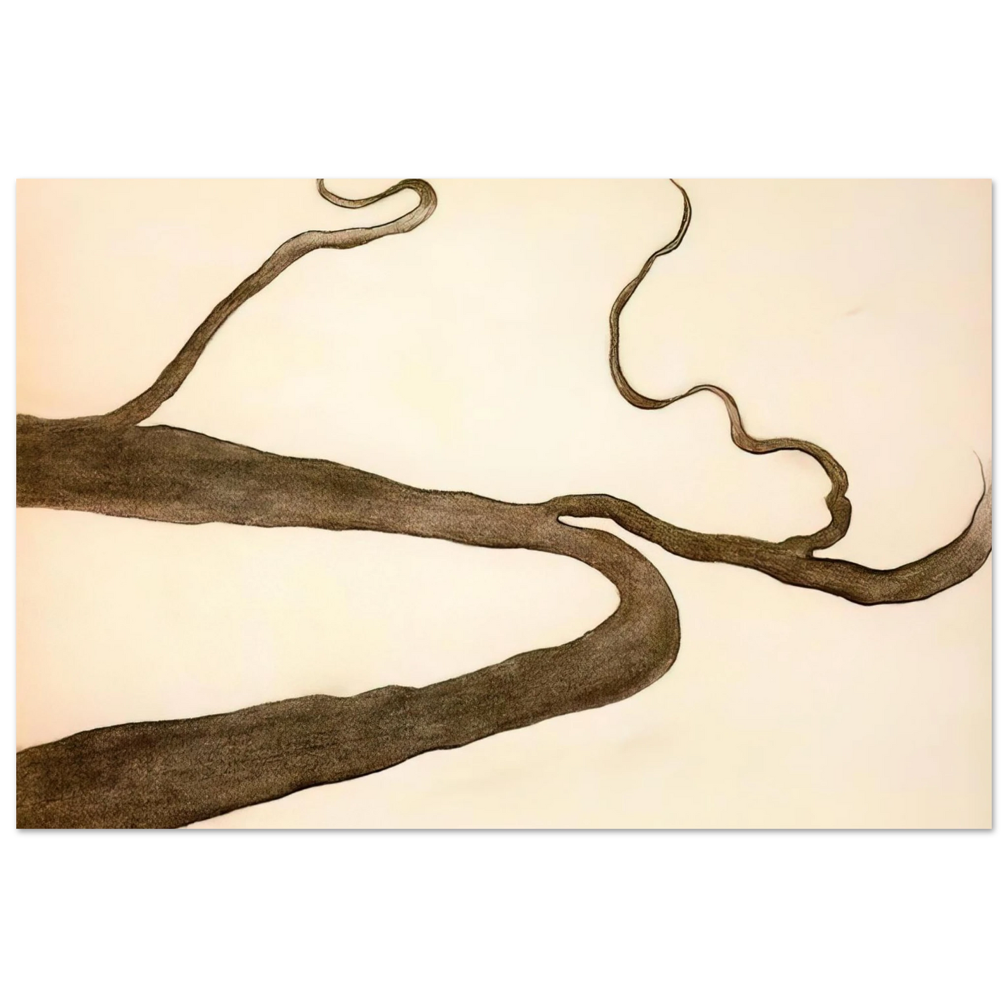 Georgia O'Keeffe - Drawing IX Fine Art Poster - 40x60 cm / 16x24 inches